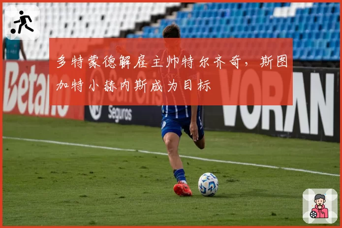 多特蒙德解雇主帅特尔齐奇,斯图加特小赫内斯成为目标