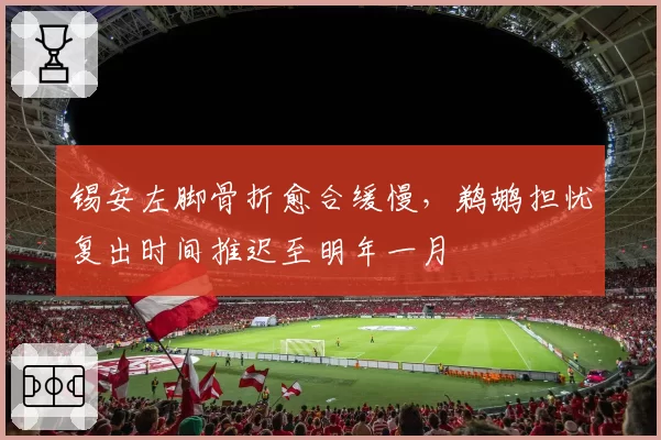 锡安左脚骨折愈合缓慢，鹈鹕担忧复出时间推迟至明年一月