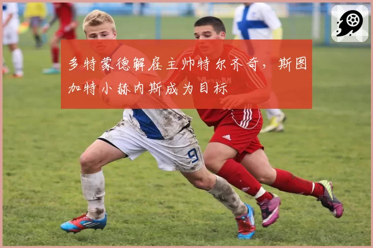 多特蒙德解雇主帅特尔齐奇,斯图加特小赫内斯成为目标